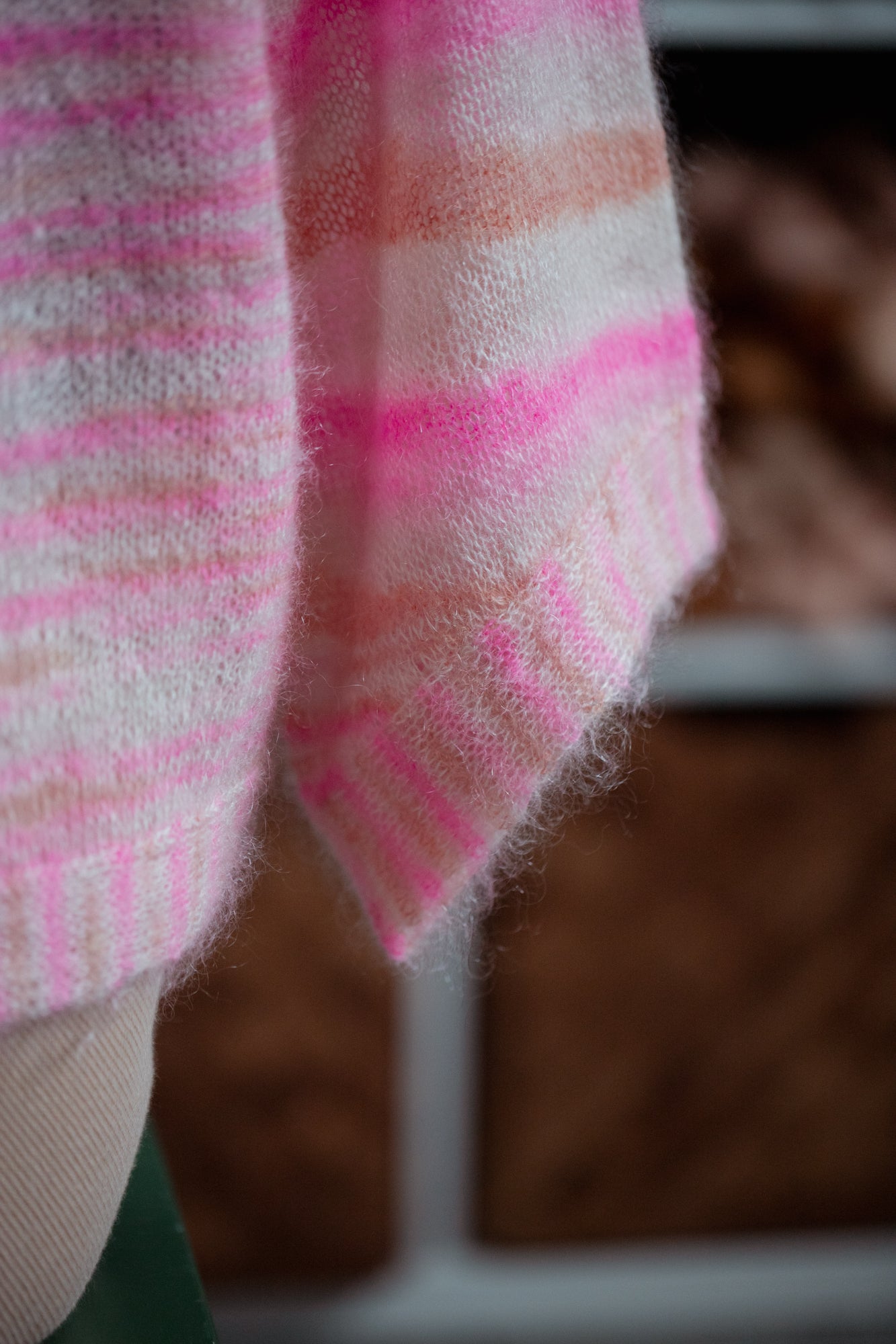 Cardigan Tulip mania